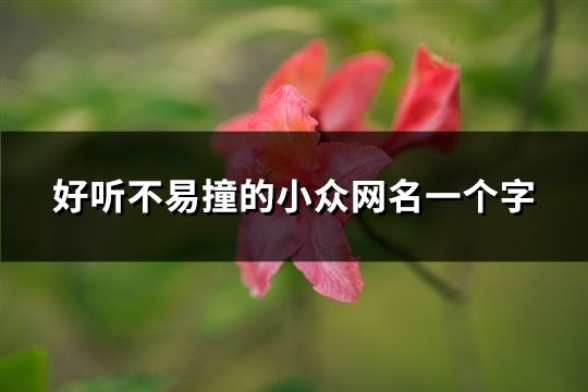 好聽不易撞的小眾網(wǎng)名一個字(共121個)