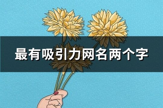 最有吸引力網(wǎng)名兩個(gè)字(精選87個(gè))