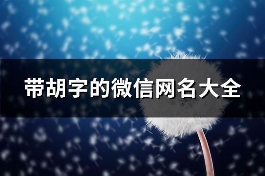 帶胡字的微信網(wǎng)名大全(精選175個(gè))