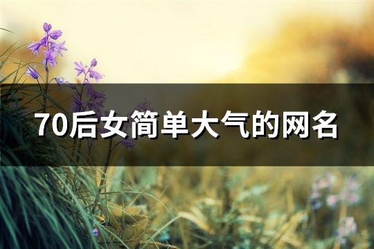 70后女簡單大氣的網名(284個)