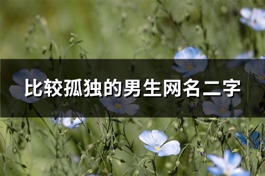 比較孤獨的男生網名二字(108個)