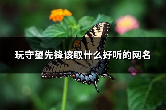 玩守望先鋒該取什么好聽的網名(141個)