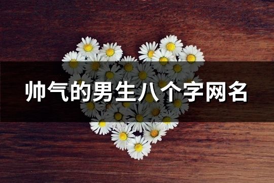 帥氣的男生八個字網(wǎng)名(197個)