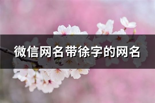 微信網名帶徐字的網名(共167個)