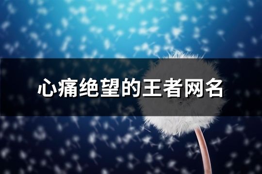 心痛絕望的王者網名(精選152個)