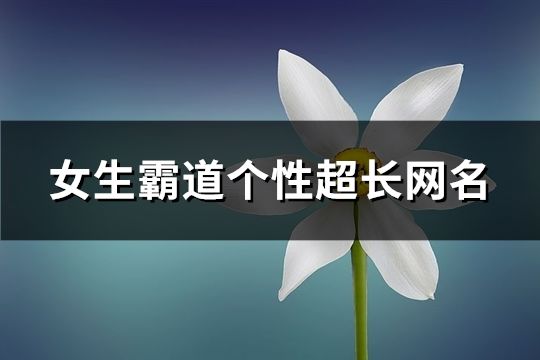 女生霸道個性超長網名(精選132個)