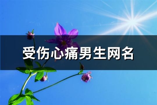 受傷心痛男生網(wǎng)名(精選183個(gè))
