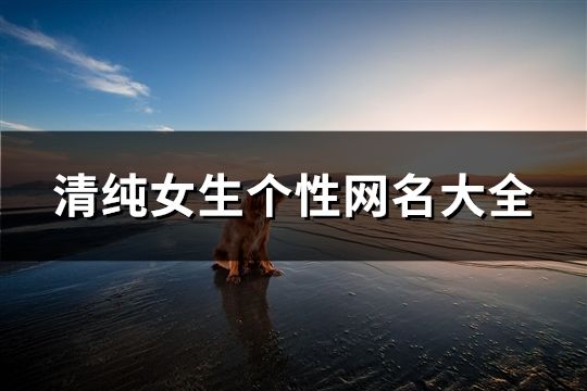 清純女生個性網名大全(共79個)