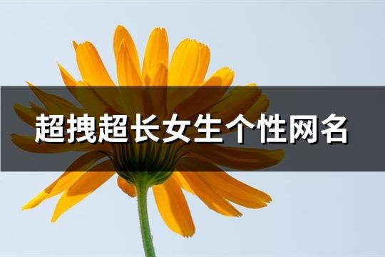 超拽超長女生個性網(wǎng)名(共1066個)