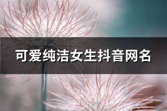 可愛(ài)純潔女生抖音網(wǎng)名(精選65個(gè))