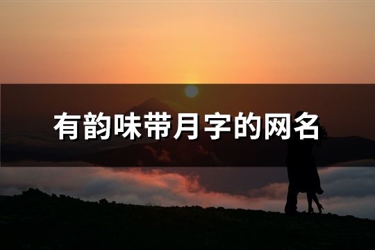 有韻味帶月字的網(wǎng)名(162個(gè))