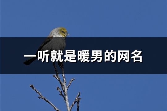 一聽就是暖男的網名(48個)