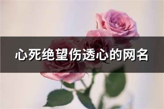 心死絕望傷透心的網(wǎng)名(精選169個)