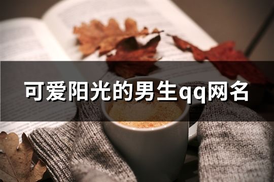 可愛陽光的男生qq網名(精選61個)
