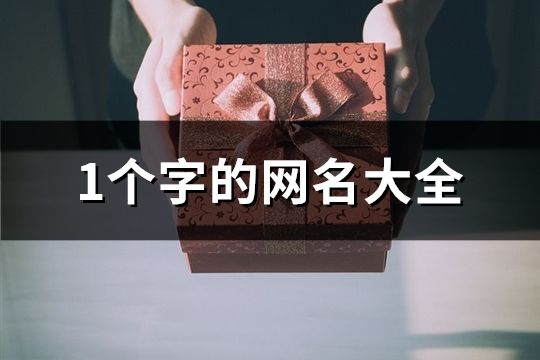 1個字的網名大全(134個)