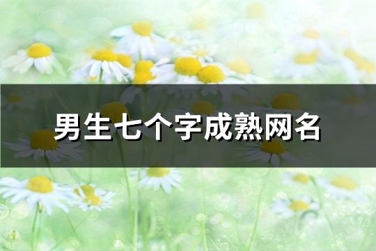 男生七個字成熟網名(172個)