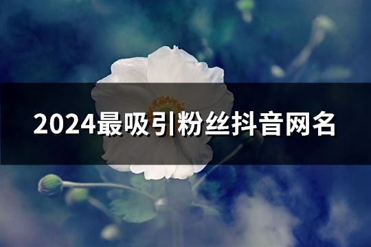 2024最吸引粉絲抖音網(wǎng)名(43個(gè))