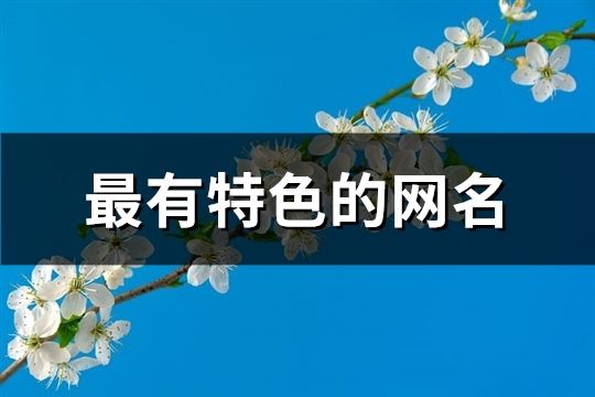 最有特色的網(wǎng)名(共94個(gè))
