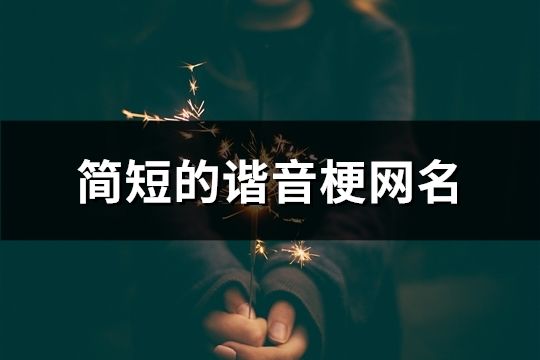 簡(jiǎn)短的諧音梗網(wǎng)名(共72個(gè))
