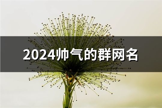 2024帥氣的群網名(184個)