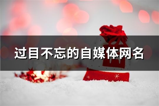 過目不忘的自媒體網(wǎng)名(57個(gè))