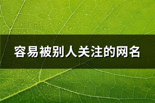 容易被別人關(guān)注的網(wǎng)名(精選34個(gè))