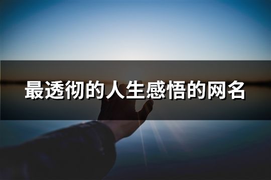 最透徹的人生感悟的網(wǎng)名(精選60個)