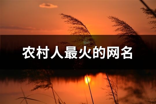 農(nóng)村人最火的網(wǎng)名(共40個(gè)) 農(nóng)村人最火的網(wǎng)名(共40個(gè))