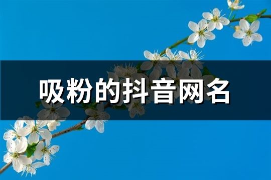 吸粉的抖音網名(共112個)