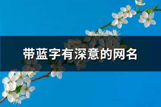 帶藍字有深意的網名(175個)