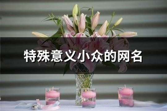 特殊意義小眾的網名(共194個)