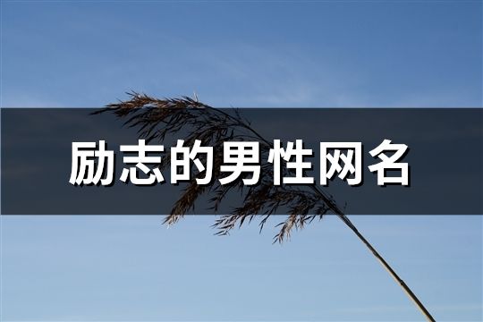 勵(lì)志的男性網(wǎng)名(共82個(gè))