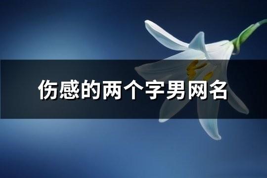 傷感的兩個字男網名(精選176個)