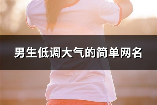 男生低調(diào)大氣的簡單網(wǎng)名(86個)