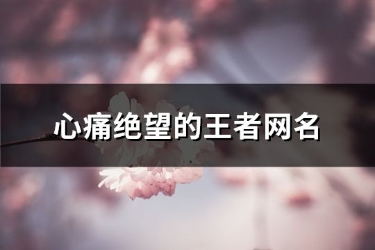 心痛絕望的王者網(wǎng)名(308個)