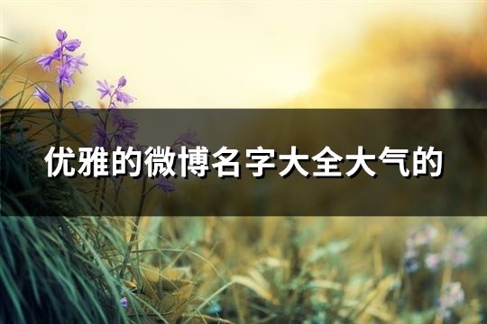 優(yōu)雅的微博名字大全大氣的(共291個(gè))