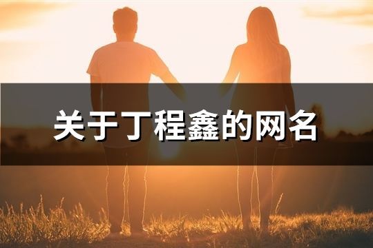 關(guān)于丁程鑫的網(wǎng)名(共91個(gè))