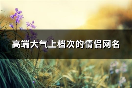 高端大氣上檔次的情侶網(wǎng)名(109個(gè))