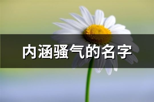 內(nèi)涵騷氣的名字(精選156個)