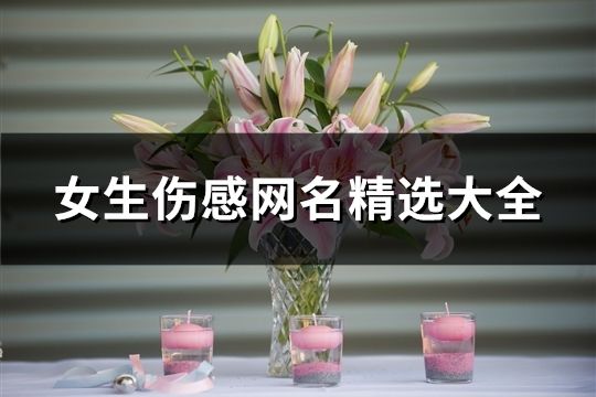 女生傷感網(wǎng)名精選大全(126個)