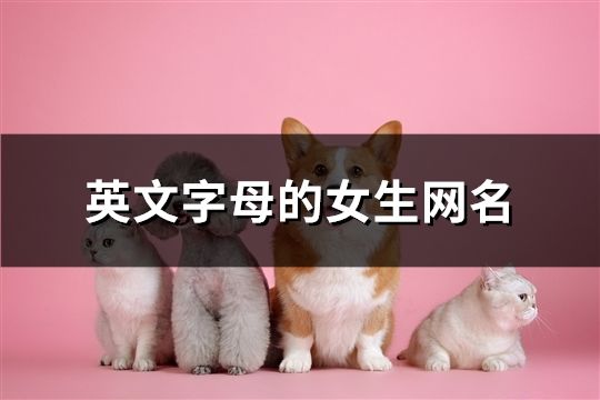 英文字母的女生網(wǎng)名(212個)