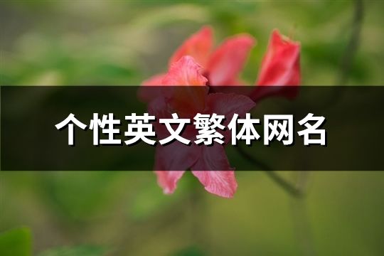 個性英文繁體網(wǎng)名(精選48個)