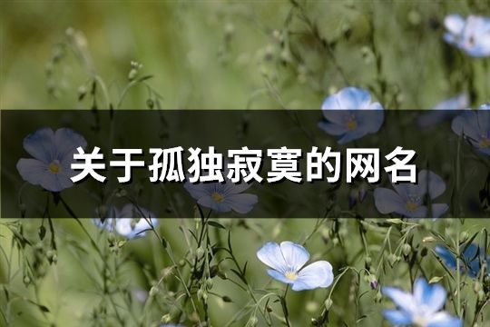 關于孤獨寂寞的網名(精選95個)