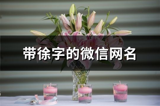 帶徐字的微信網名(共95個)
