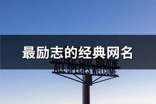 最勵志的經典網名(278個)