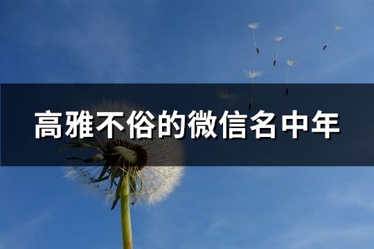 高雅不俗的微信名中年(共38個) 高雅不俗的微信名中年(共38個)