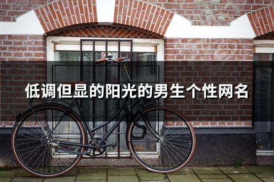 低調但顯的陽光的男生個性網名(共1236個)
