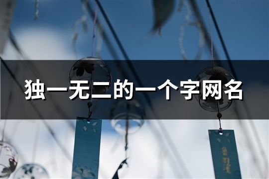 獨一無二的一個字網名(717個)