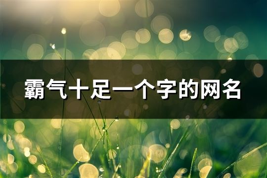 霸氣十足一個字的網名(367個)