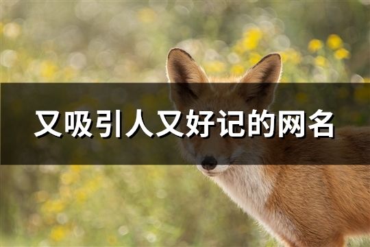 又吸引人又好記的網名(精選41個) 又吸引人又好記的網名(精選41個)